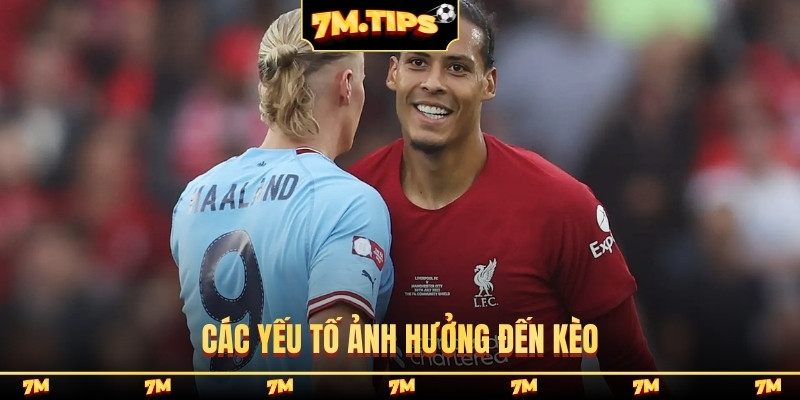 Các yếu tố ảnh hưởng đến kèo
