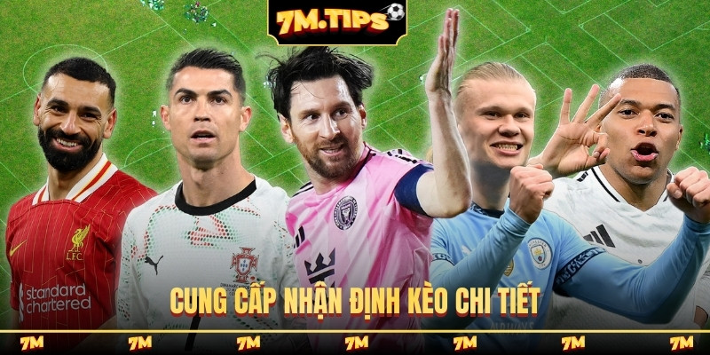 Cung cấp nhận định kèo chi tiết